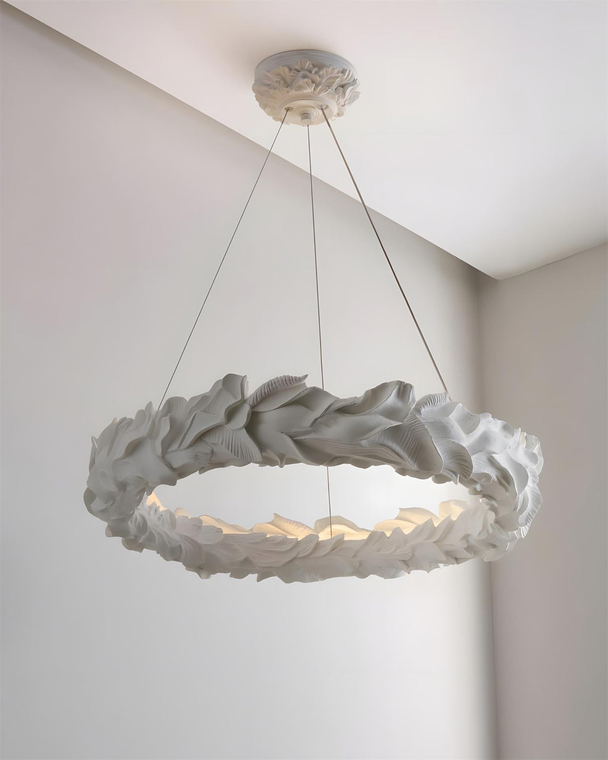 Oreloaria candelabru, în formă de inel
