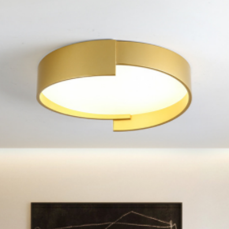 Arisha plafonieră aplicată modernă rotundă cu LED în două straturi
