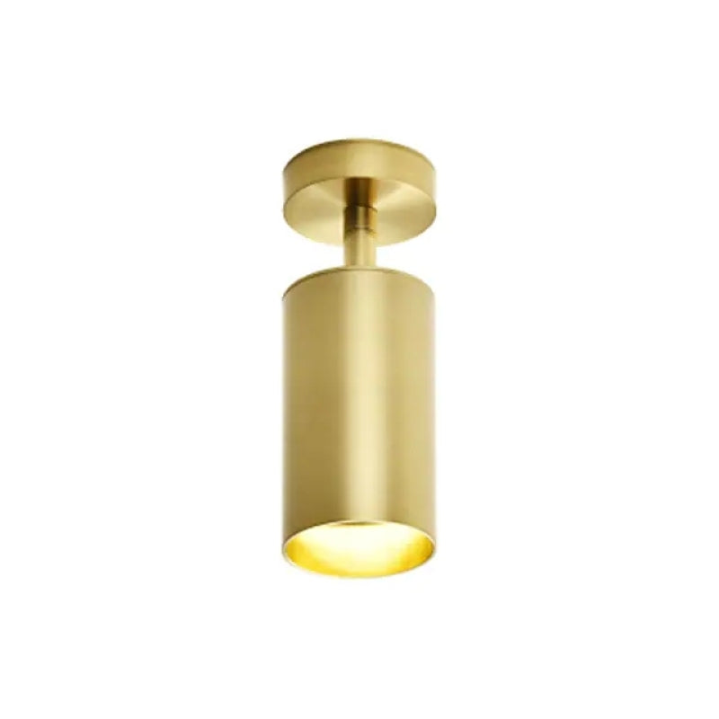 Aria Moderno auriu Spotlight de fundal cilindric plafonieră aplicată, metal