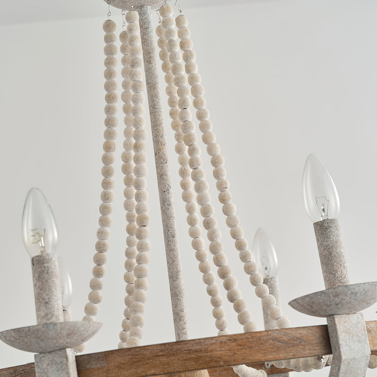 Selaena candelabru
