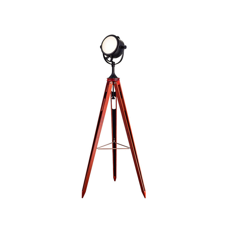 Calielia lampadar