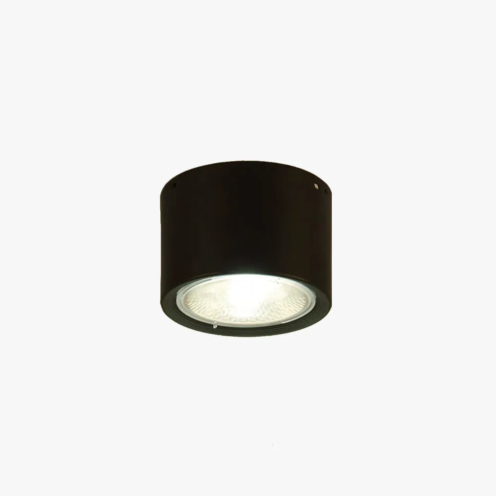 Arisha plafonieră aplicată modernă rotundă, lemn/negru, living