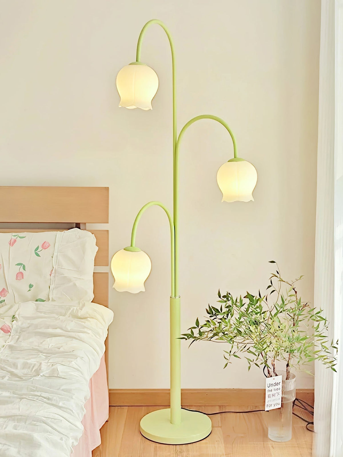 Lilic lampadar  Orchid