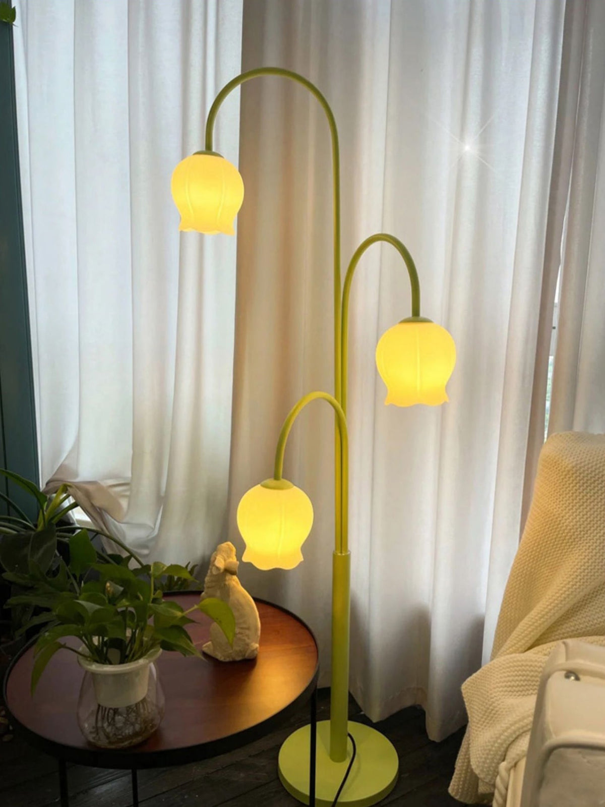 Lilic lampadar  Orchid