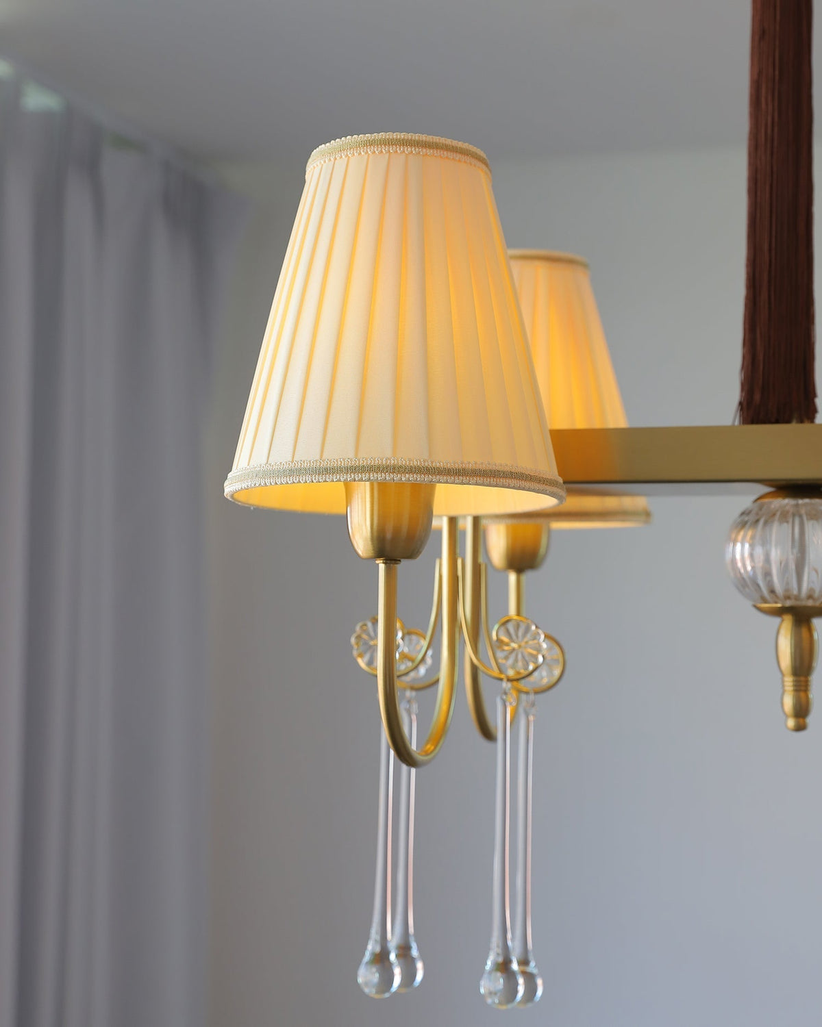 Mondia candelabru