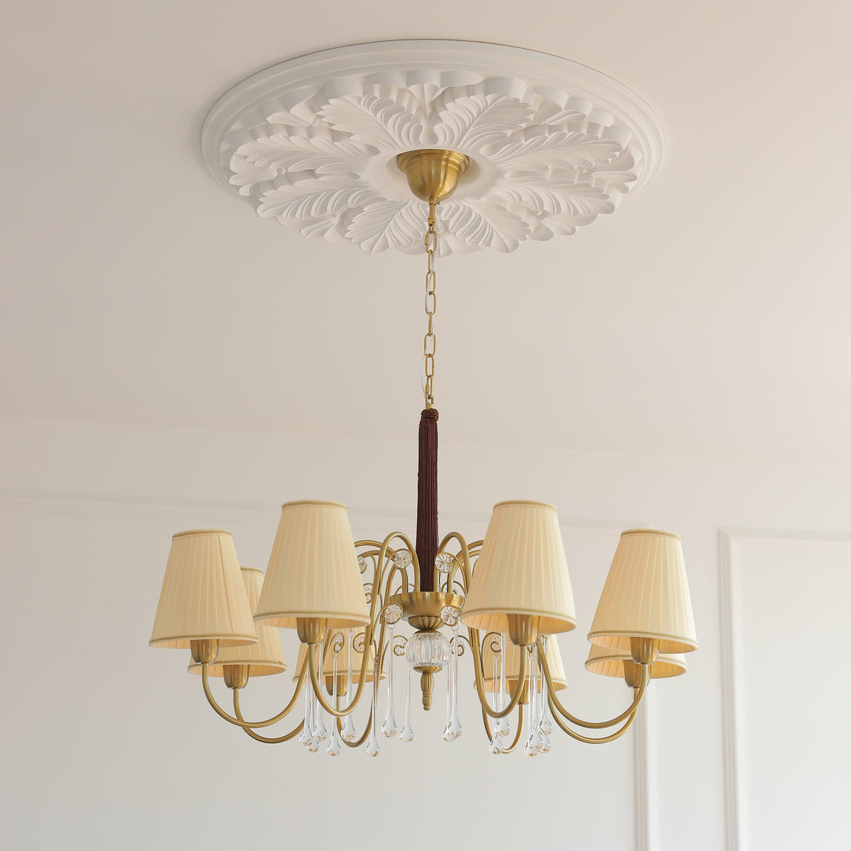 Mondia candelabru