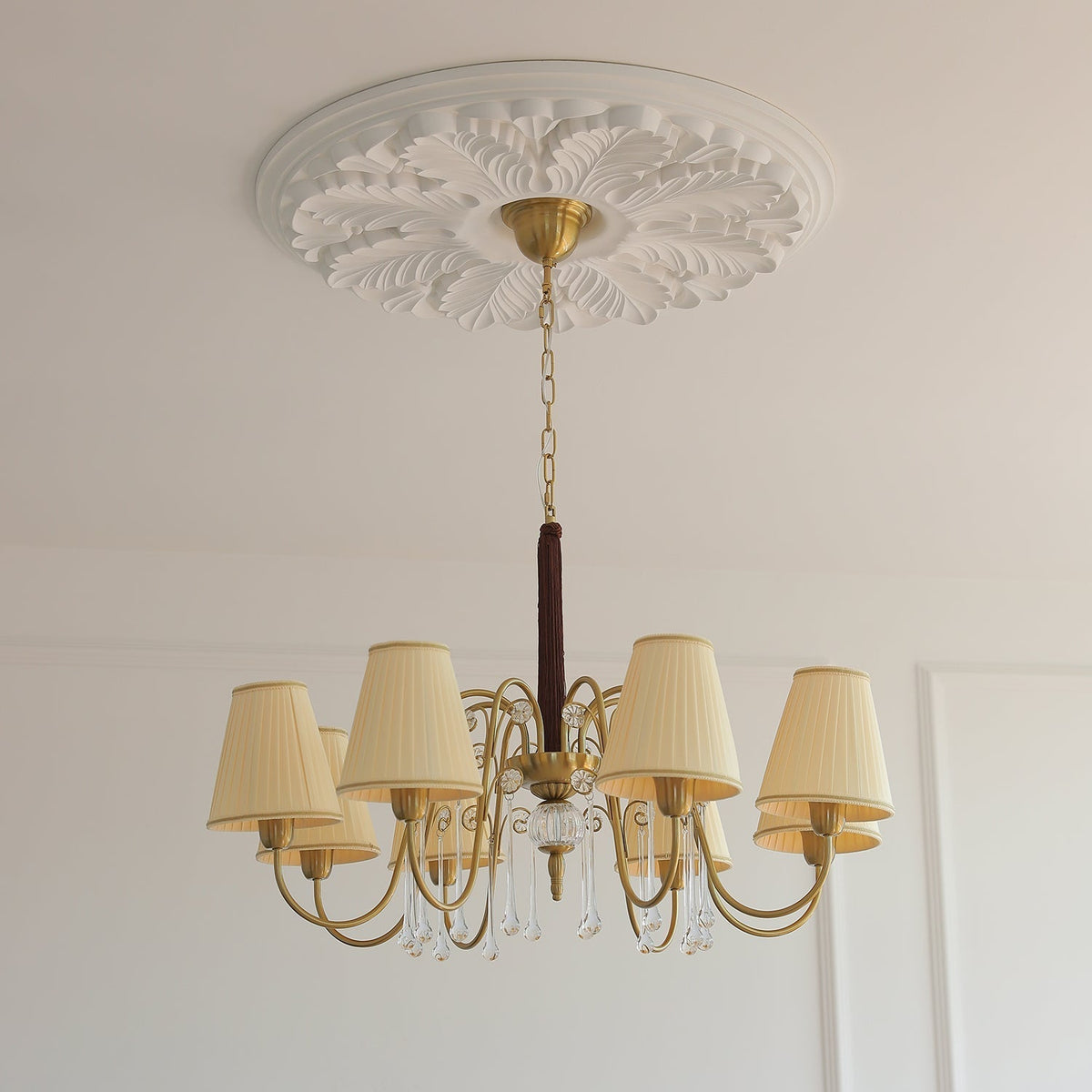 Mondia candelabru