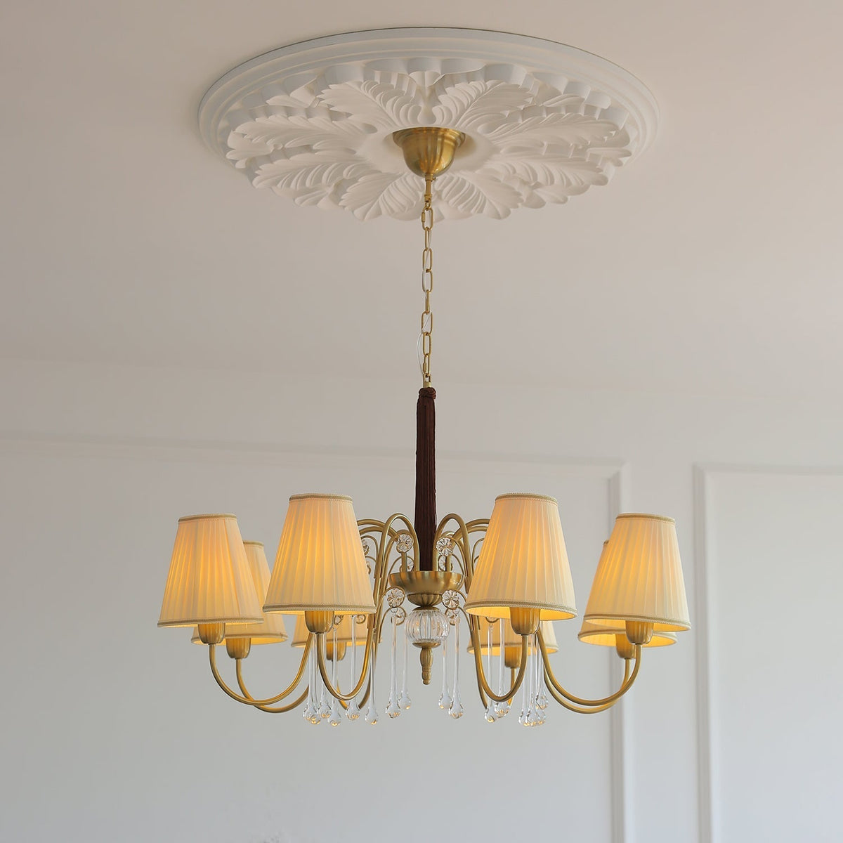 Mondia candelabru