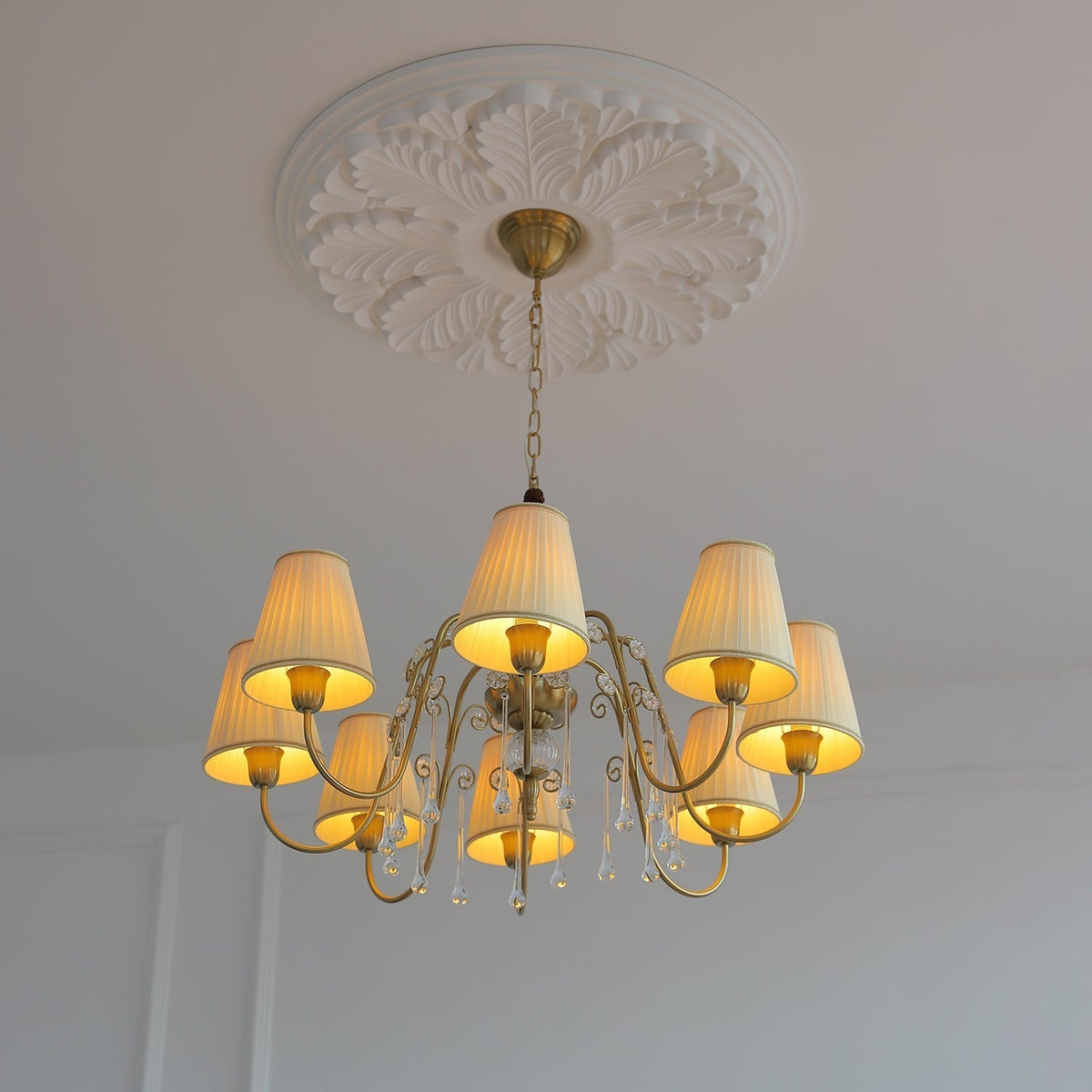 Mondia candelabru