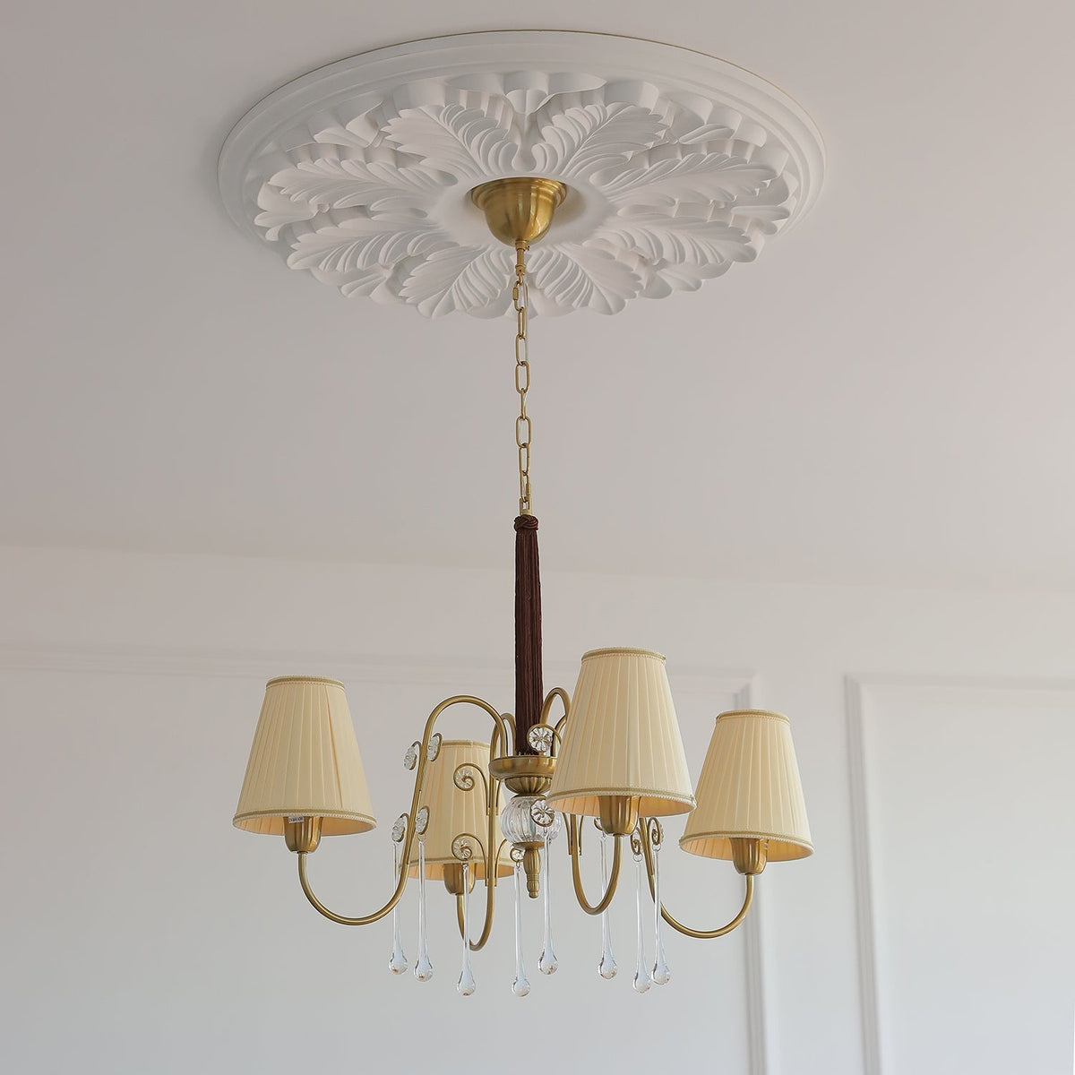 Mondia candelabru