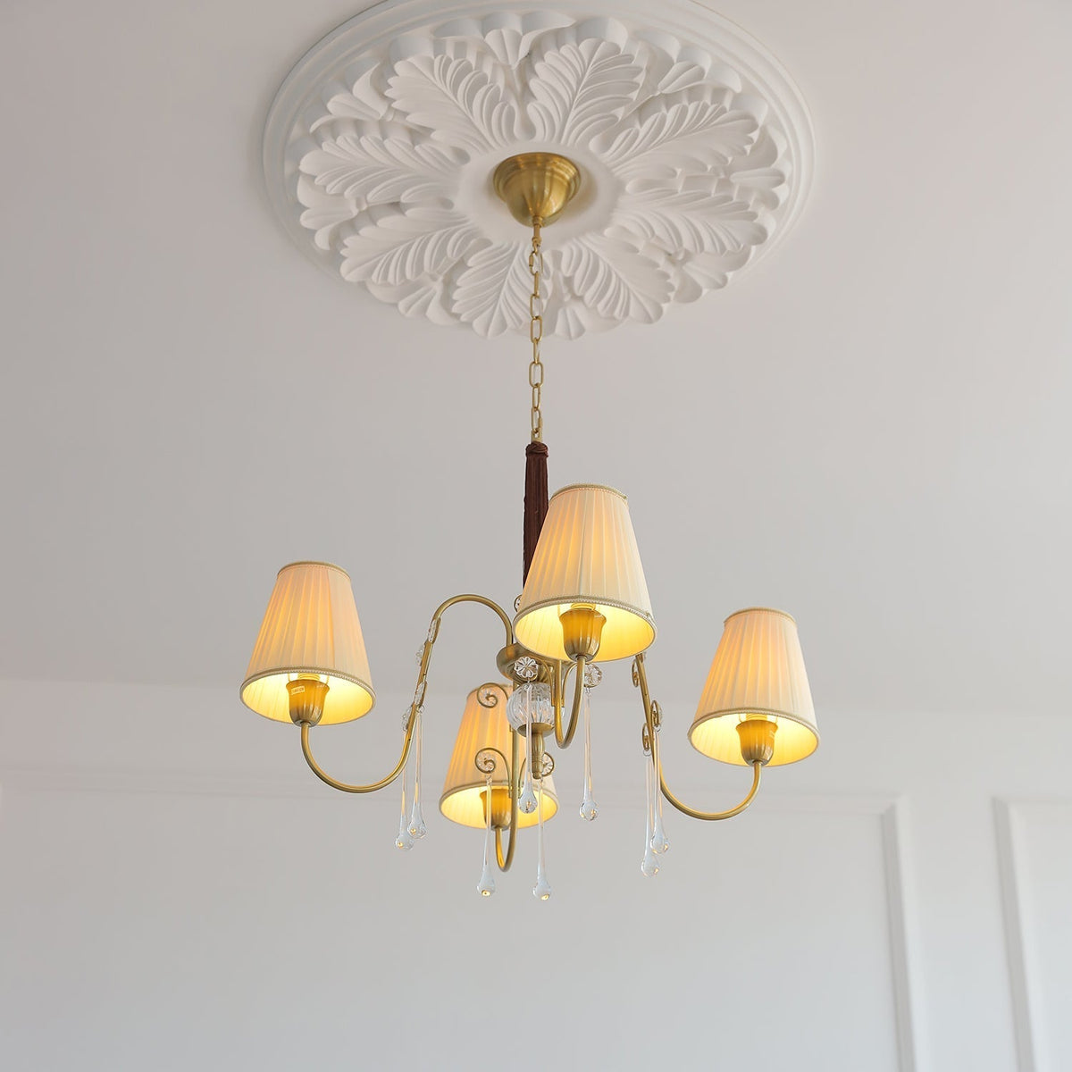 Mondia candelabru