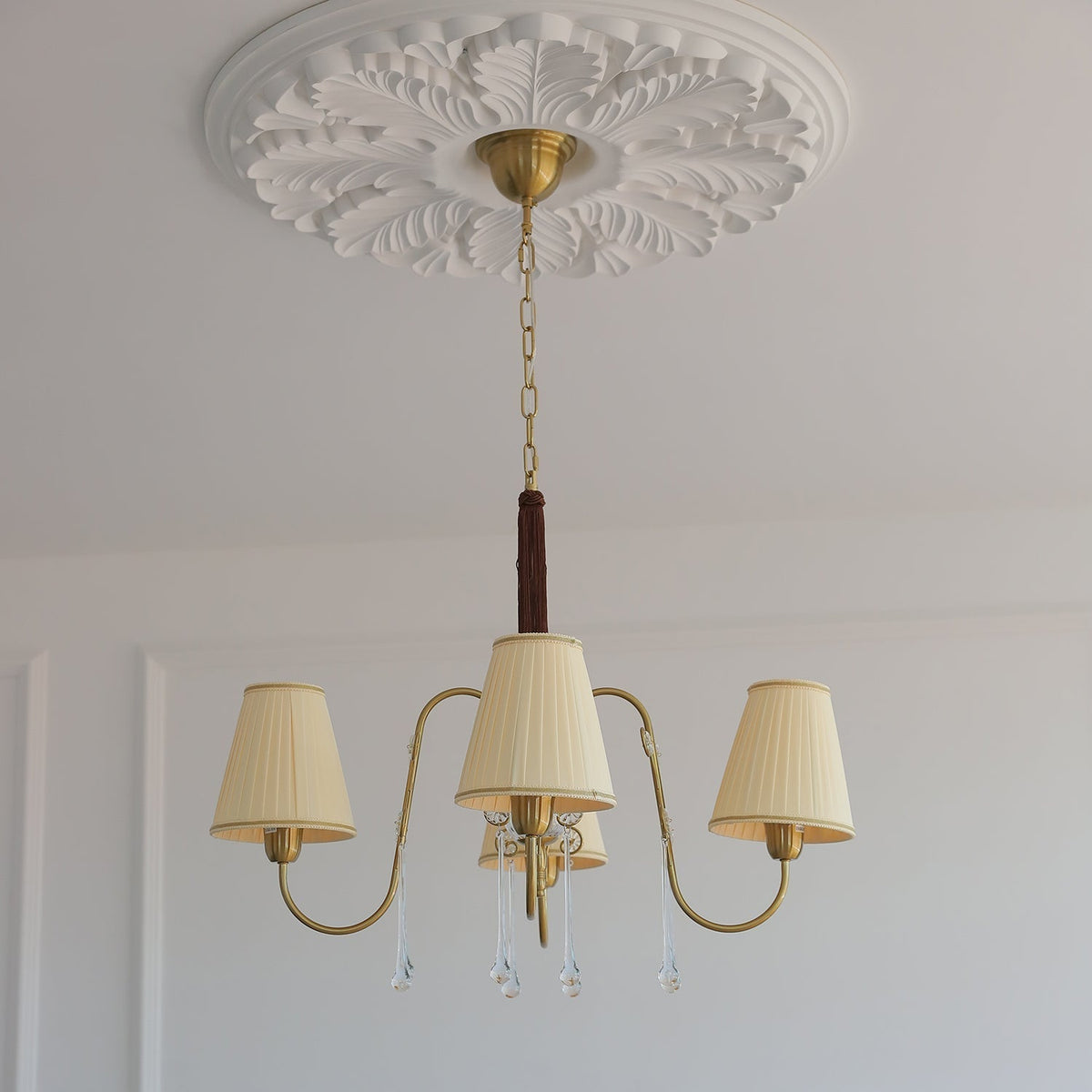 Mondia candelabru