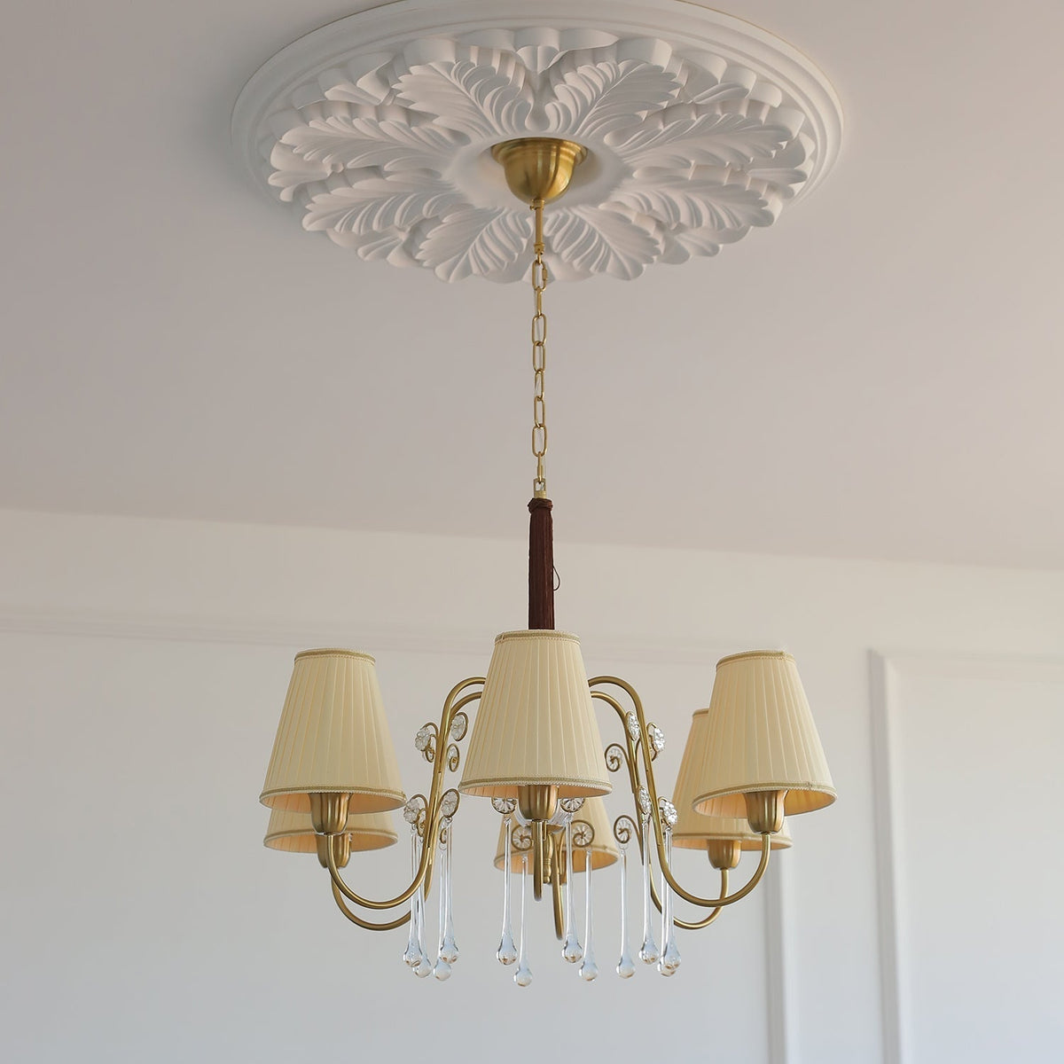 Mondia candelabru