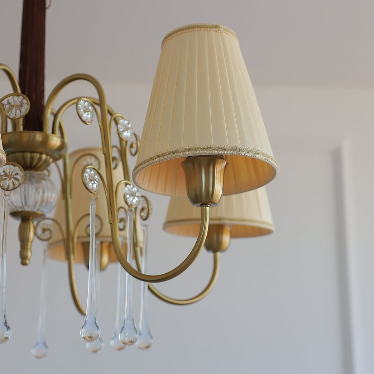 Mondia candelabru