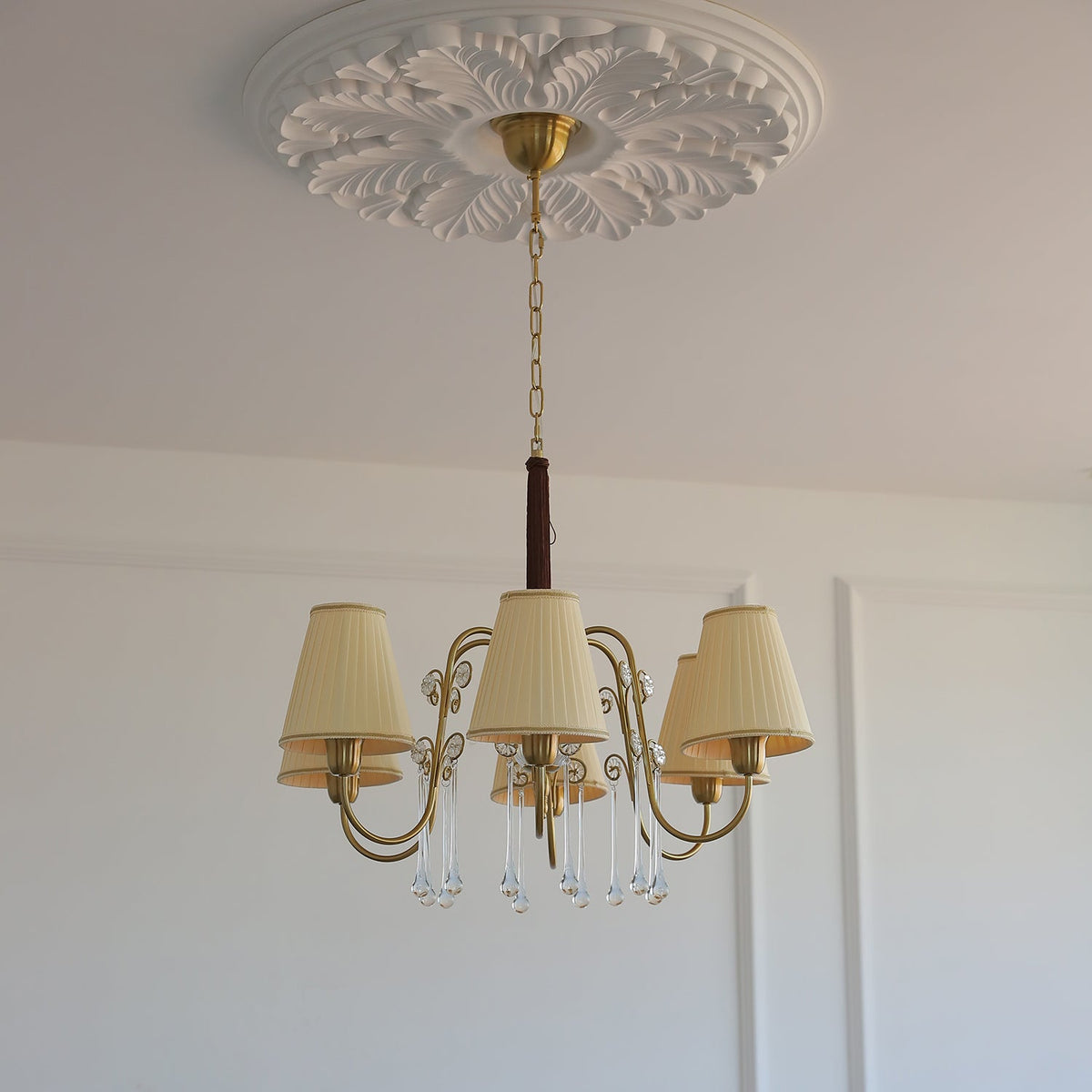 Mondia candelabru