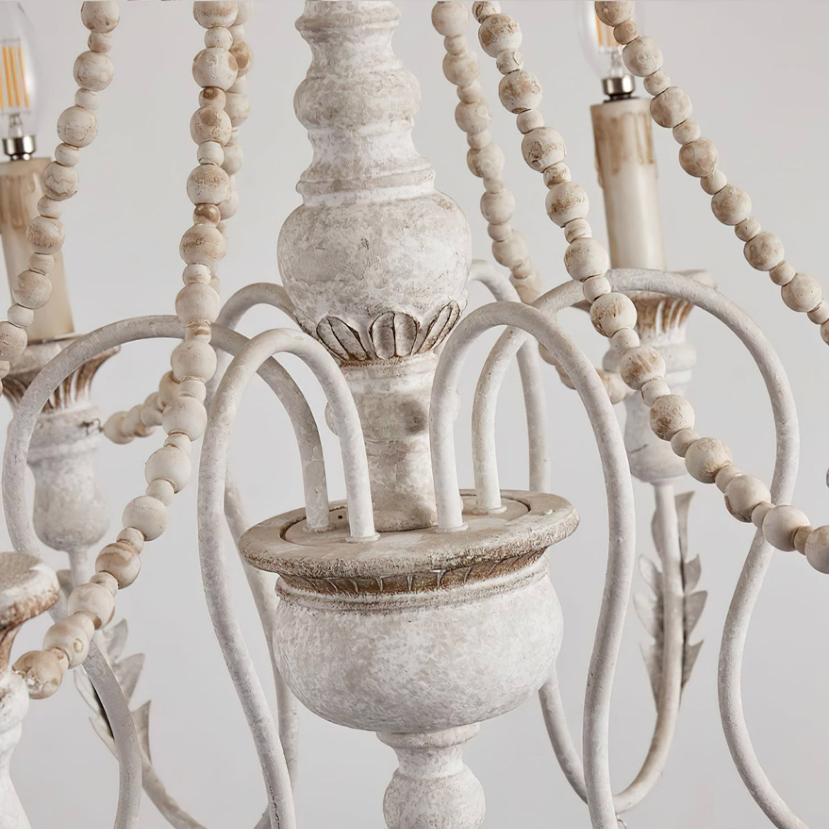 Cirorena candelabru