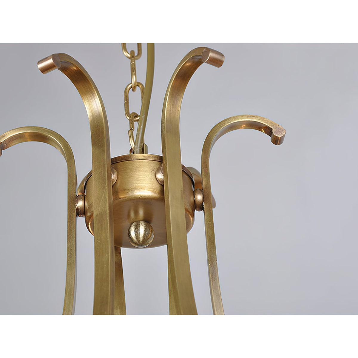 Avenorissa candelabru