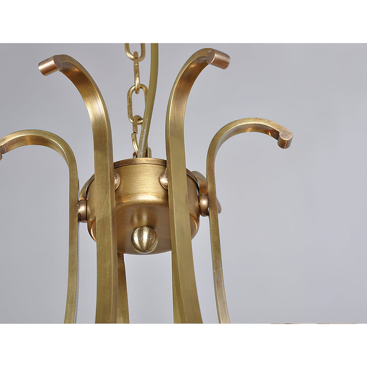 Avenorissa candelabru