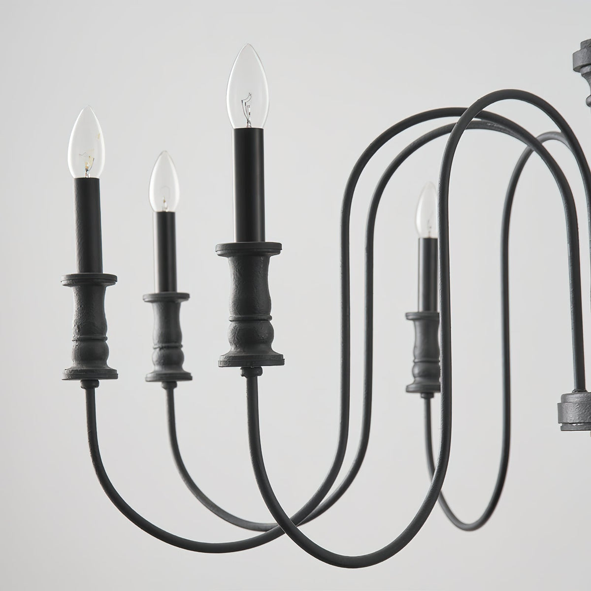 Rivivaria candelabru