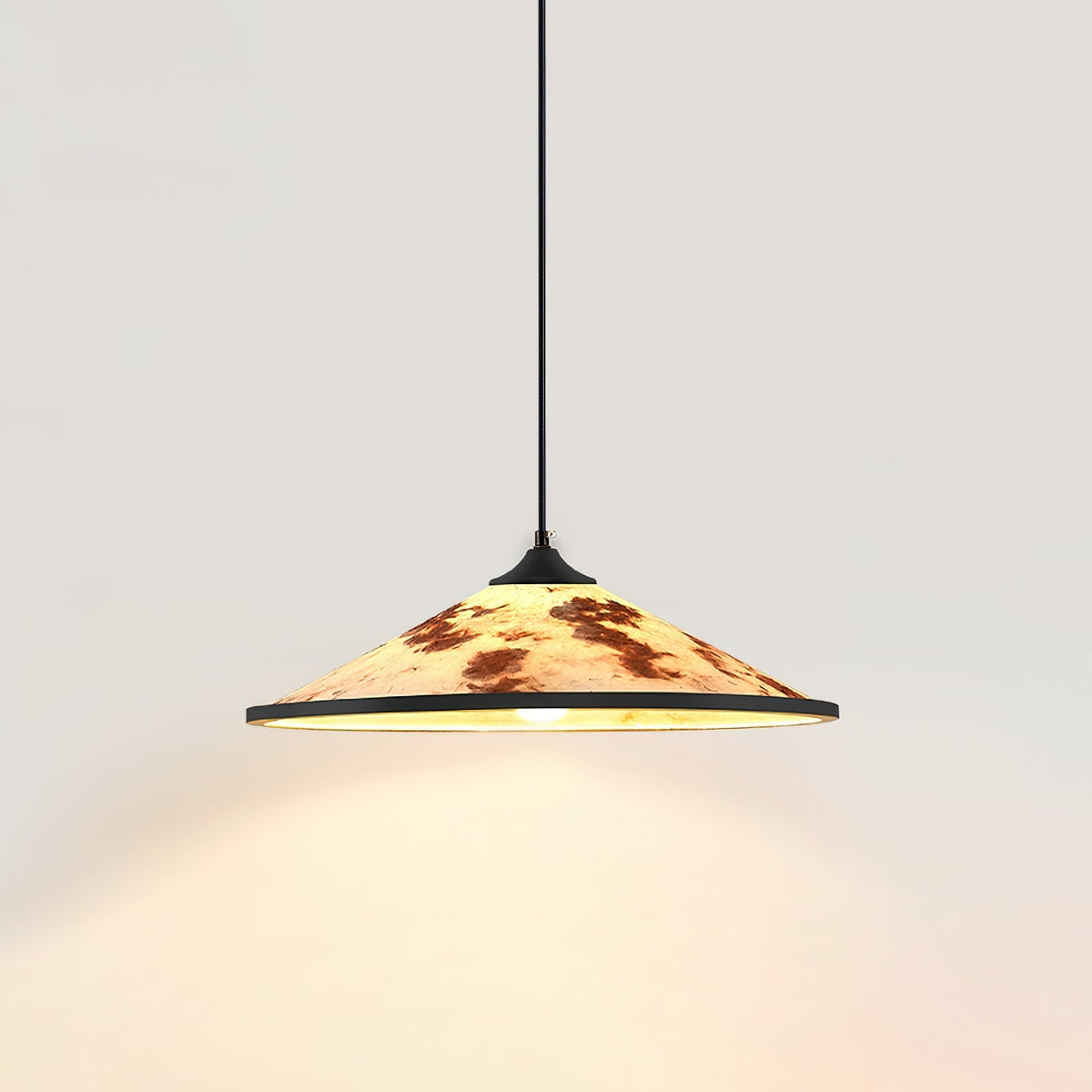 Viraalora lampă suspendată