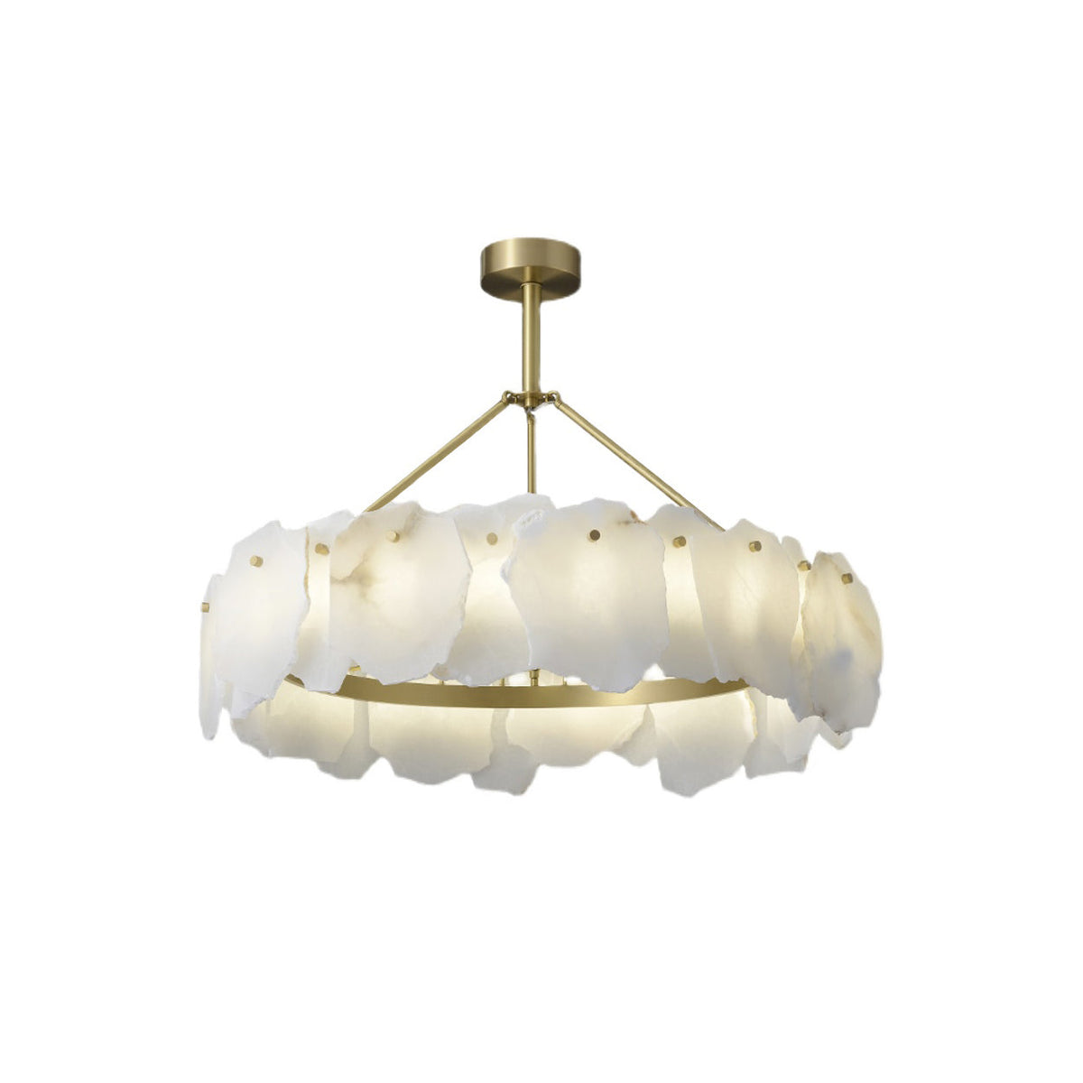 Elaeissa candelabru