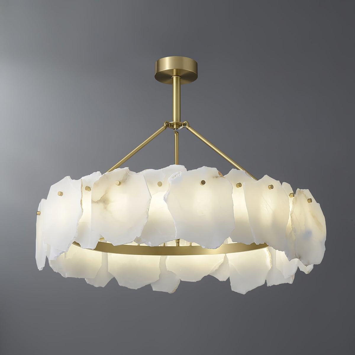 Elaeissa candelabru