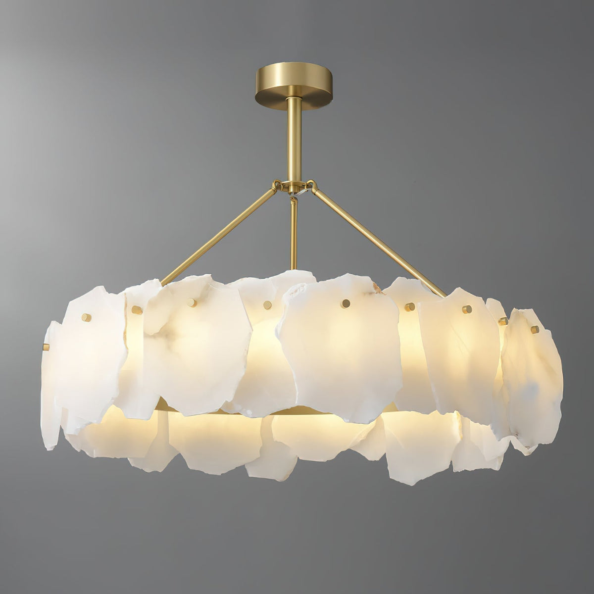 Elaeissa candelabru