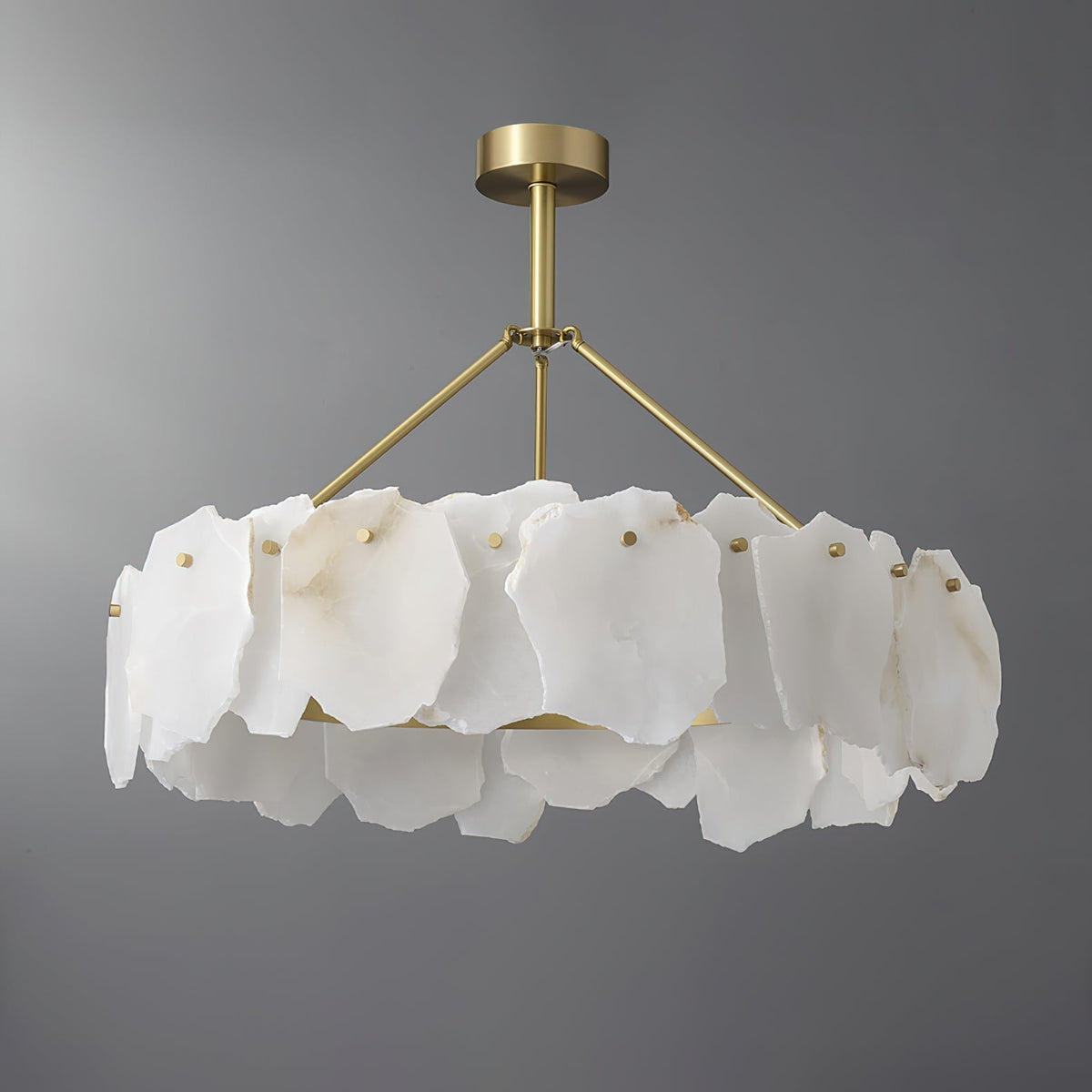 Elaeissa candelabru
