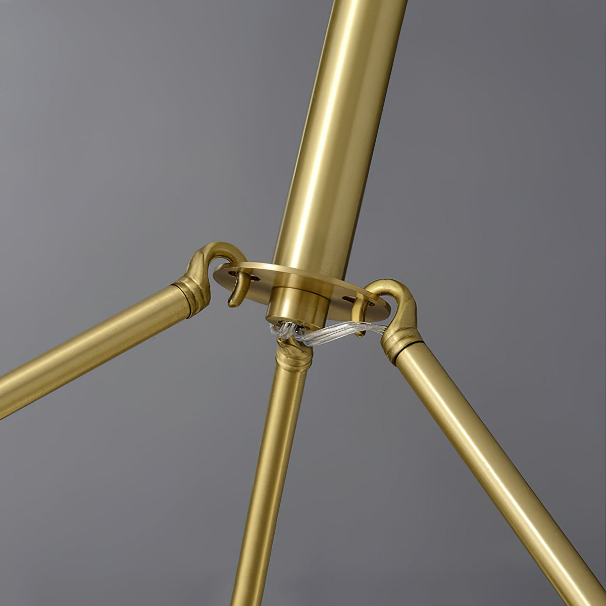 Elaeissa candelabru