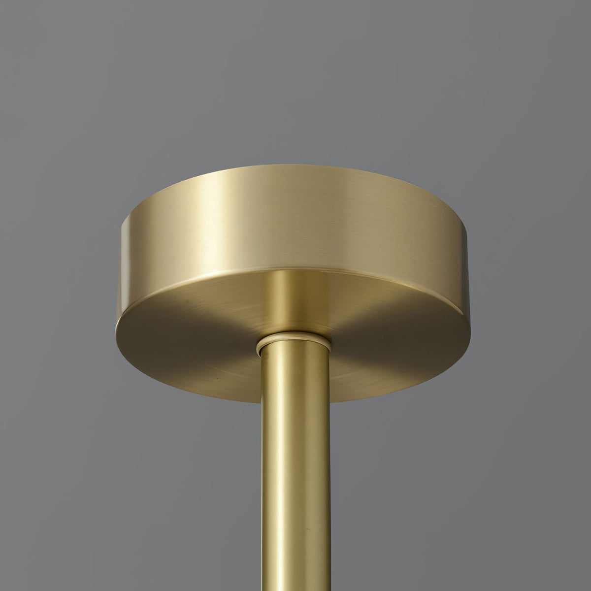 Elaeissa candelabru