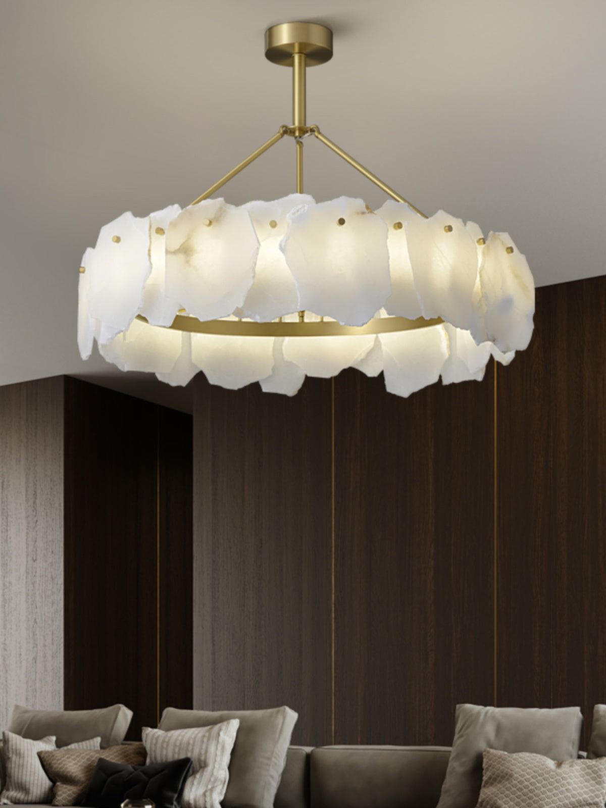 Elaeissa candelabru