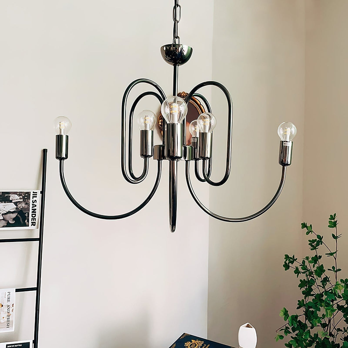 Orelelella candelabru