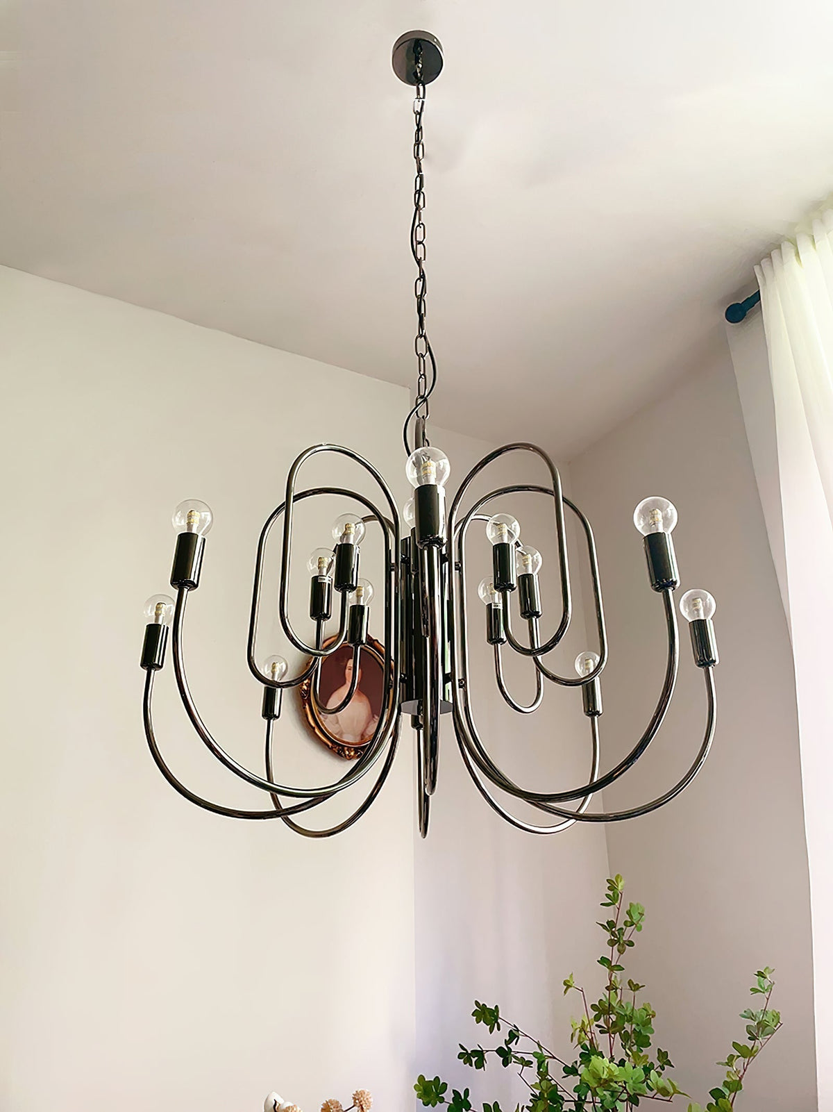 Orelelella candelabru