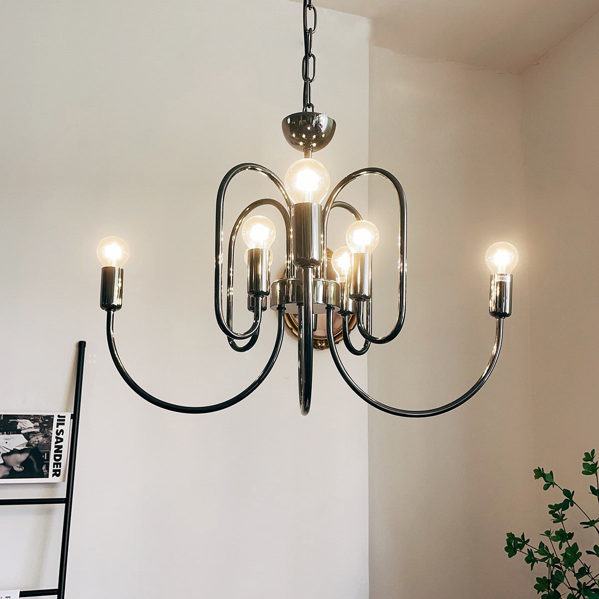 Orelelella candelabru