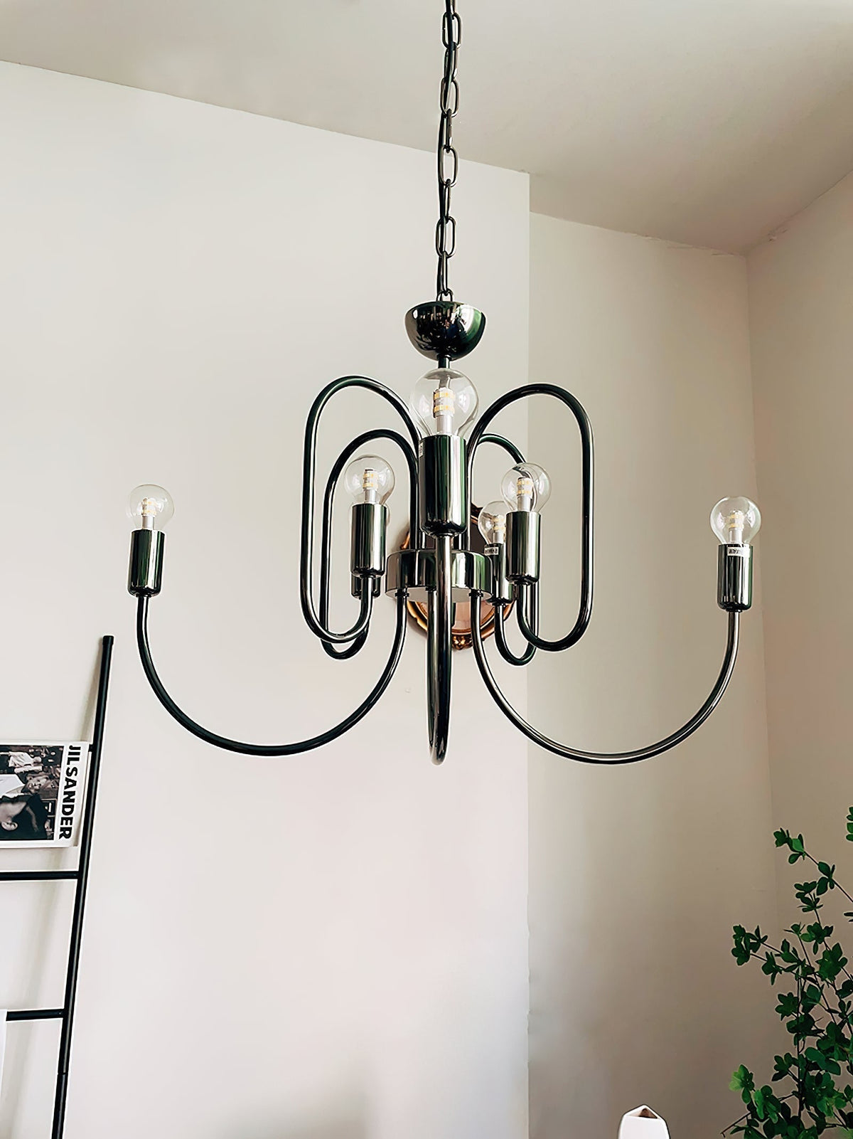 Orelelella candelabru