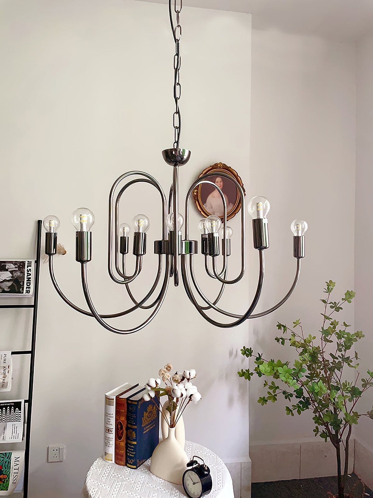 Orelelella candelabru