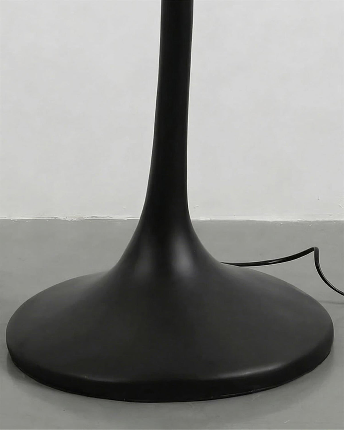 Terialiella lampadar
