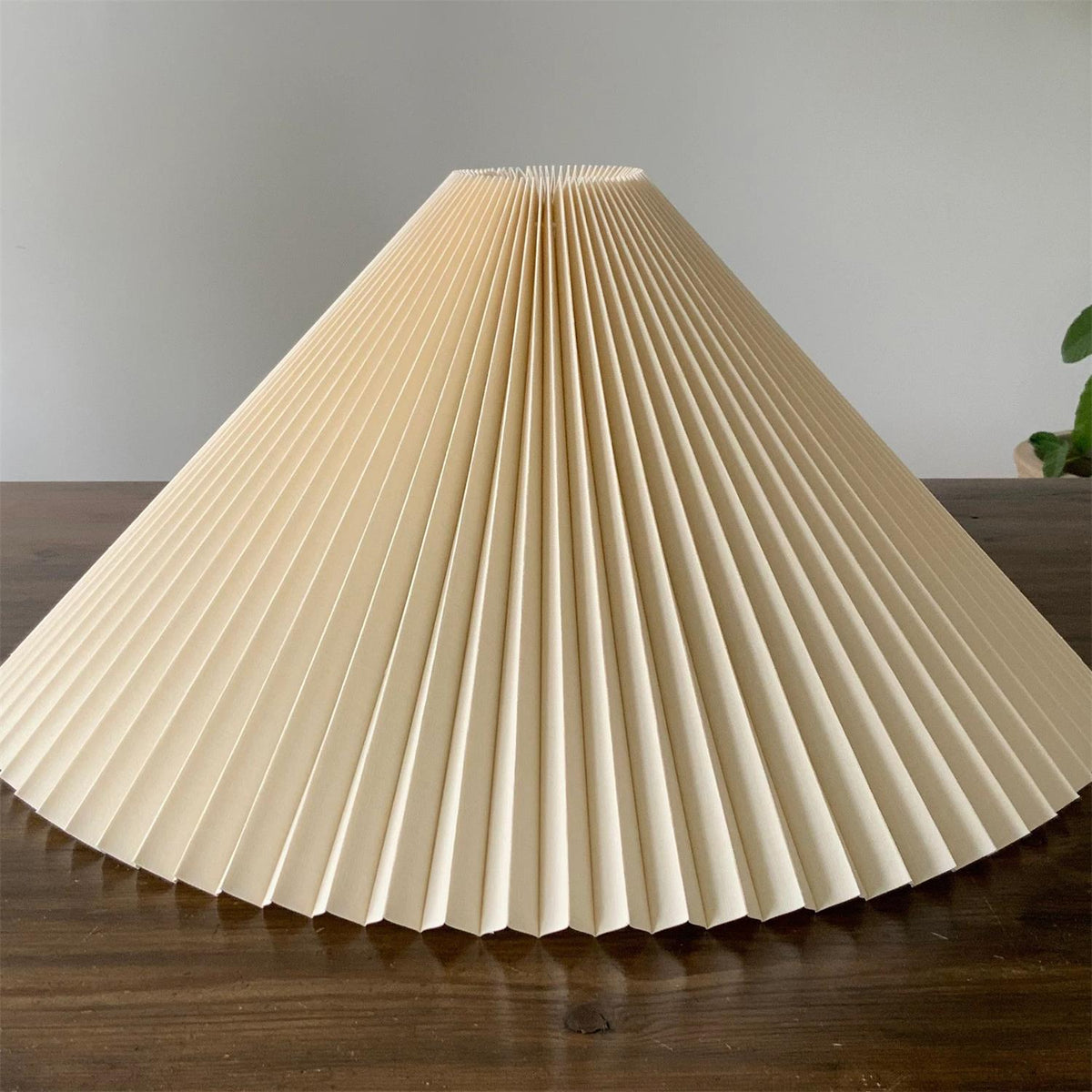 Terra lampadar