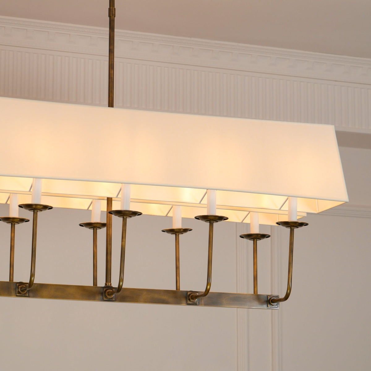 Avenerira candelabru liniar