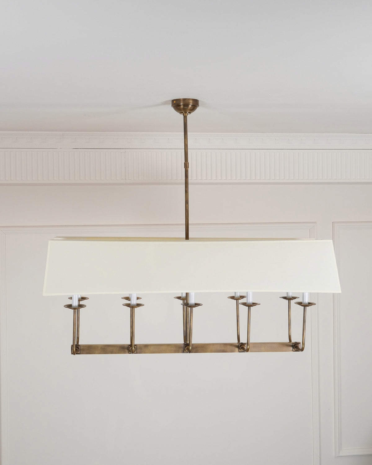 Avenerira candelabru liniar