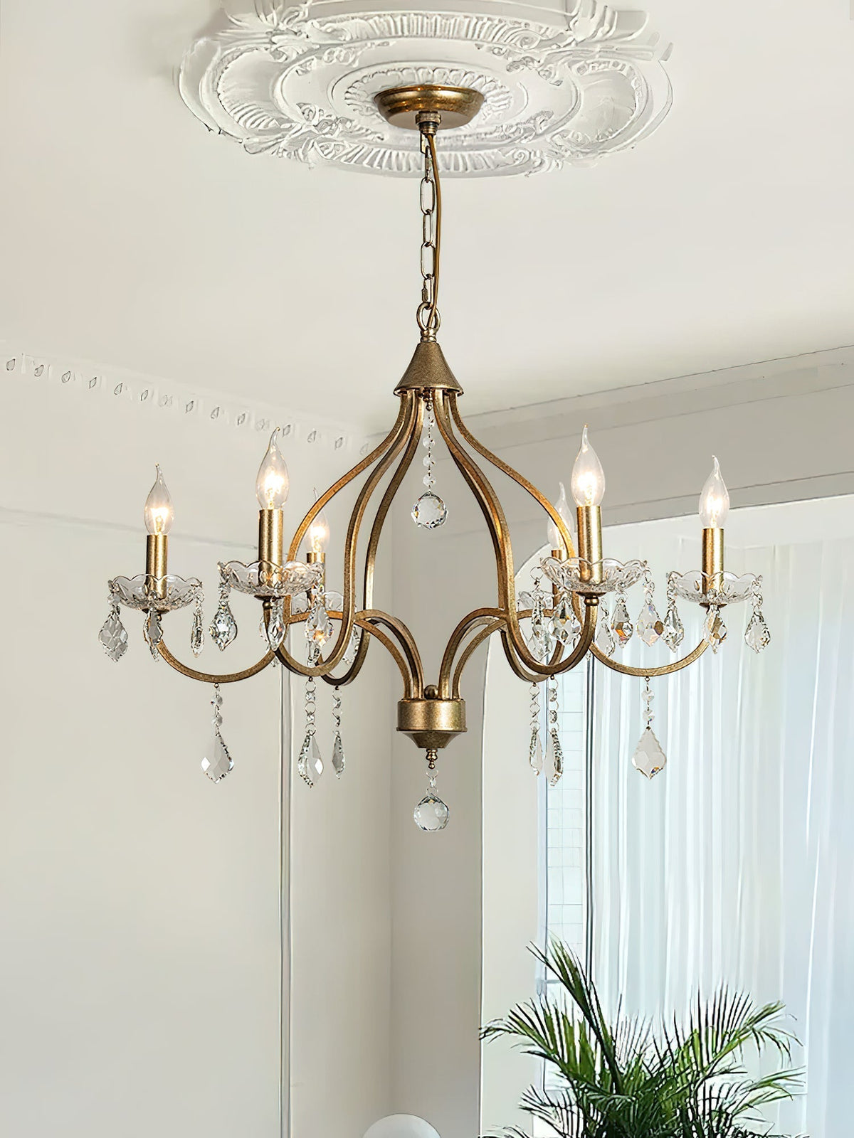 Elaeian candelabru