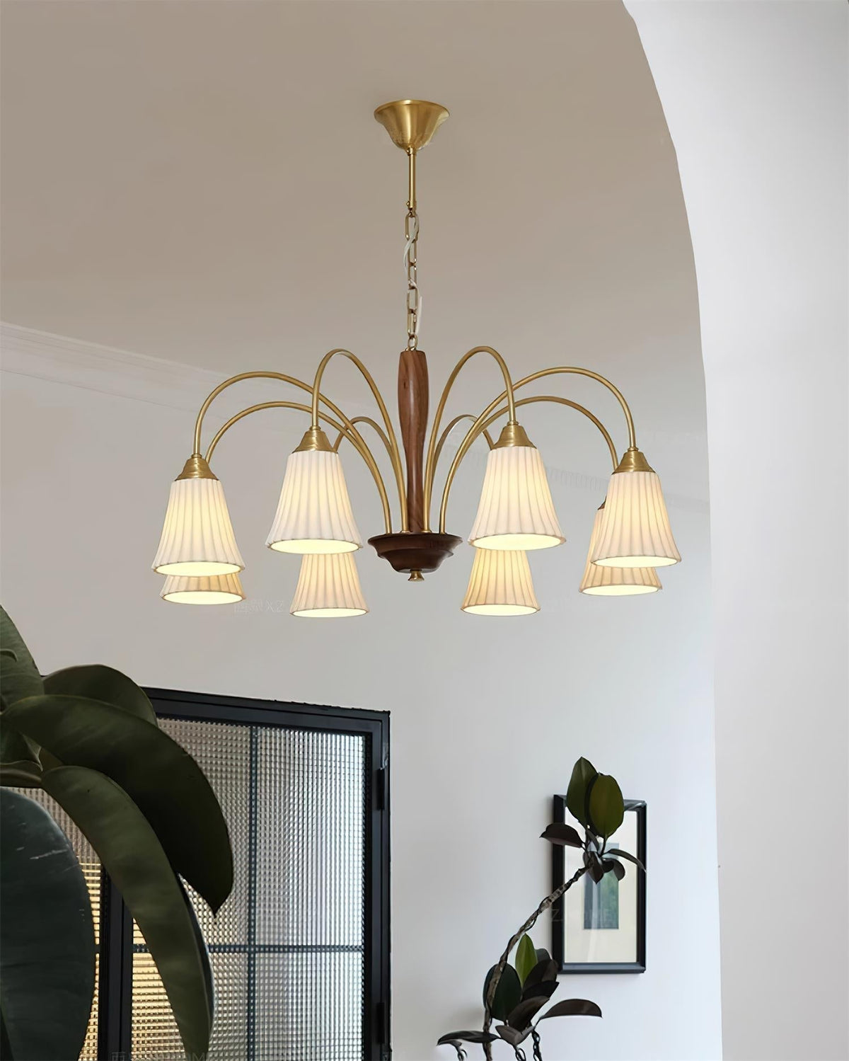 Conia candelabru