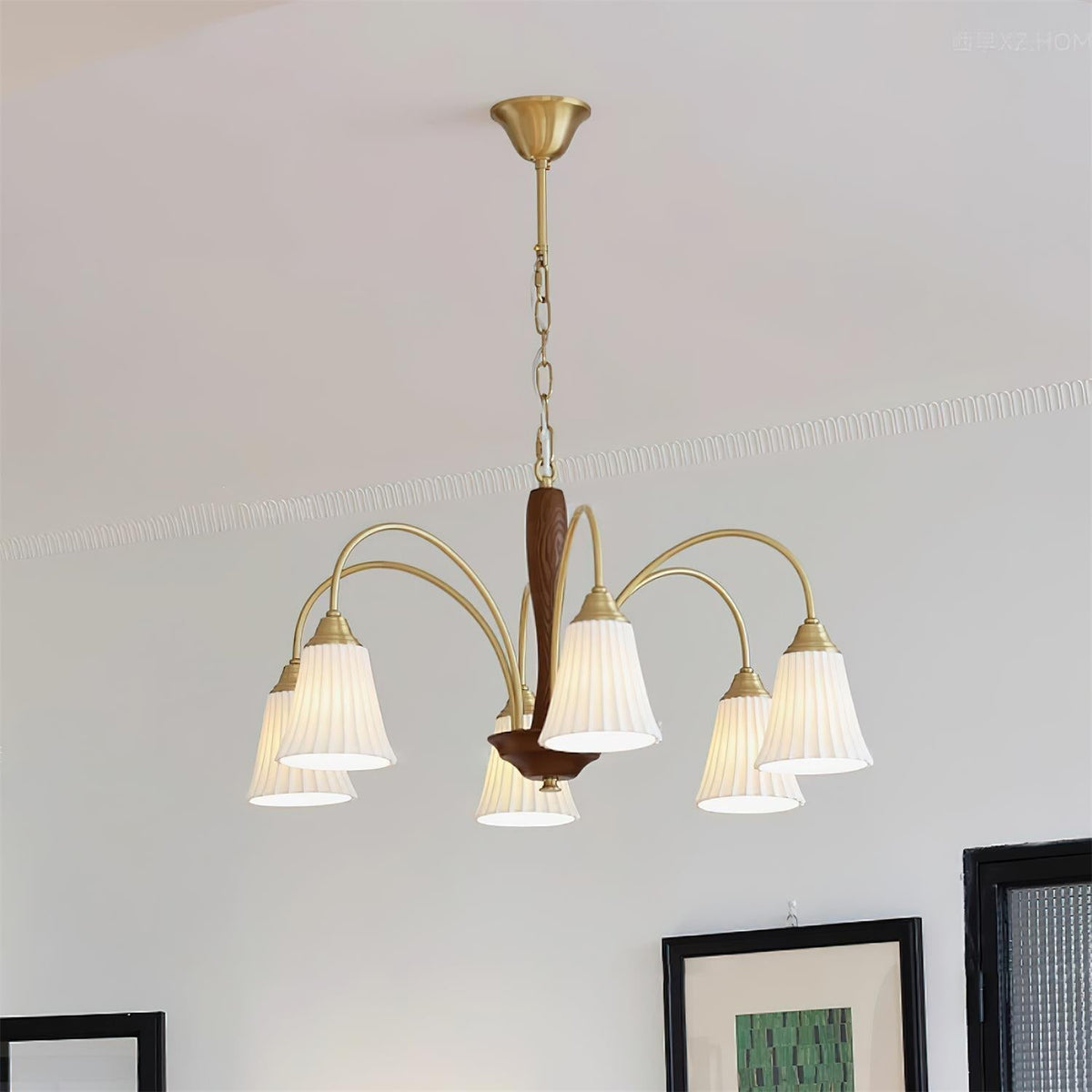 Conia candelabru