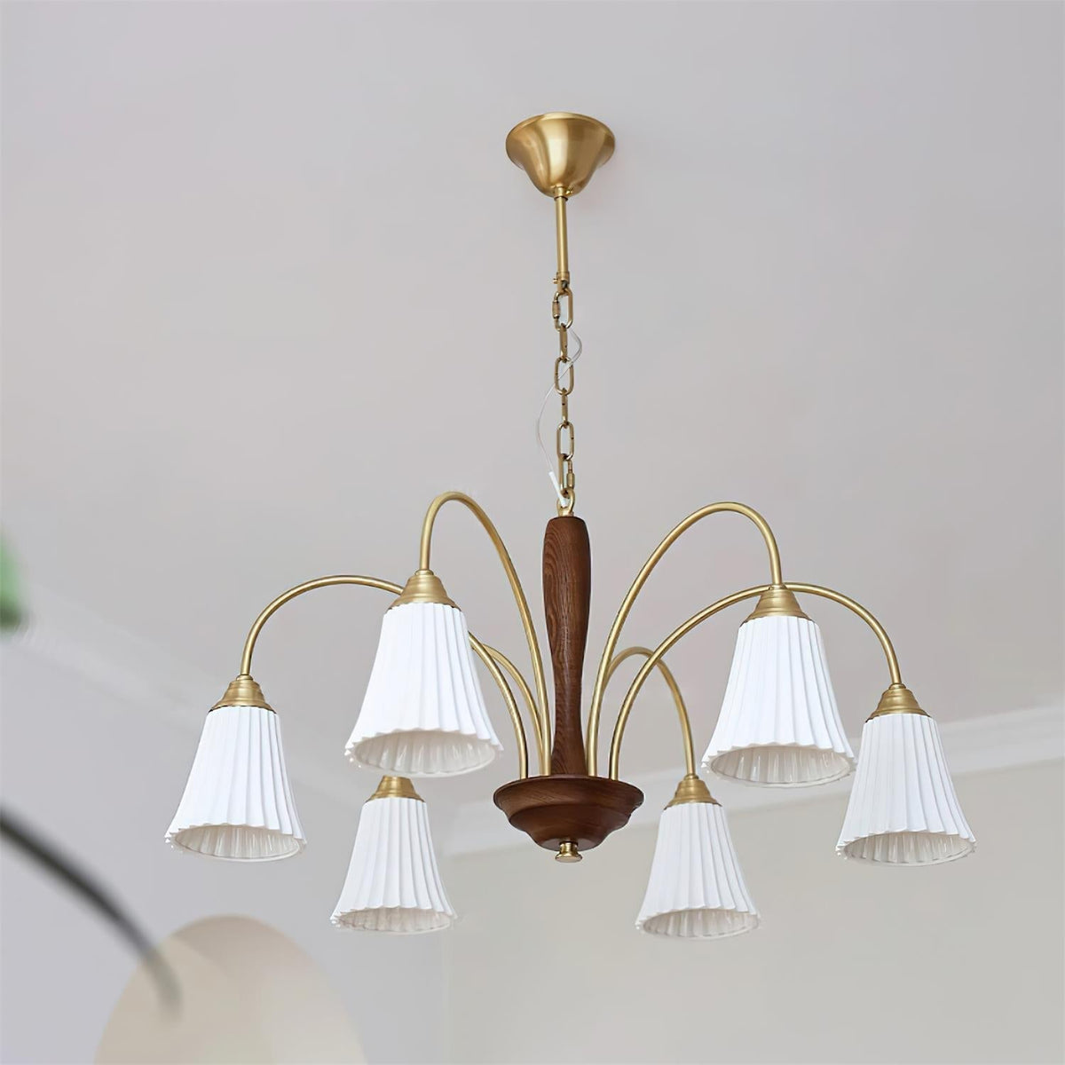Conia candelabru