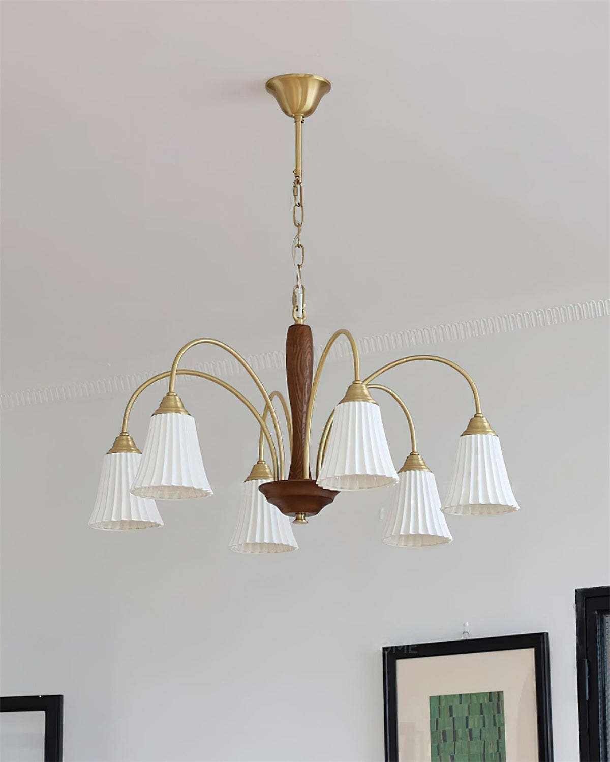 Conia candelabru