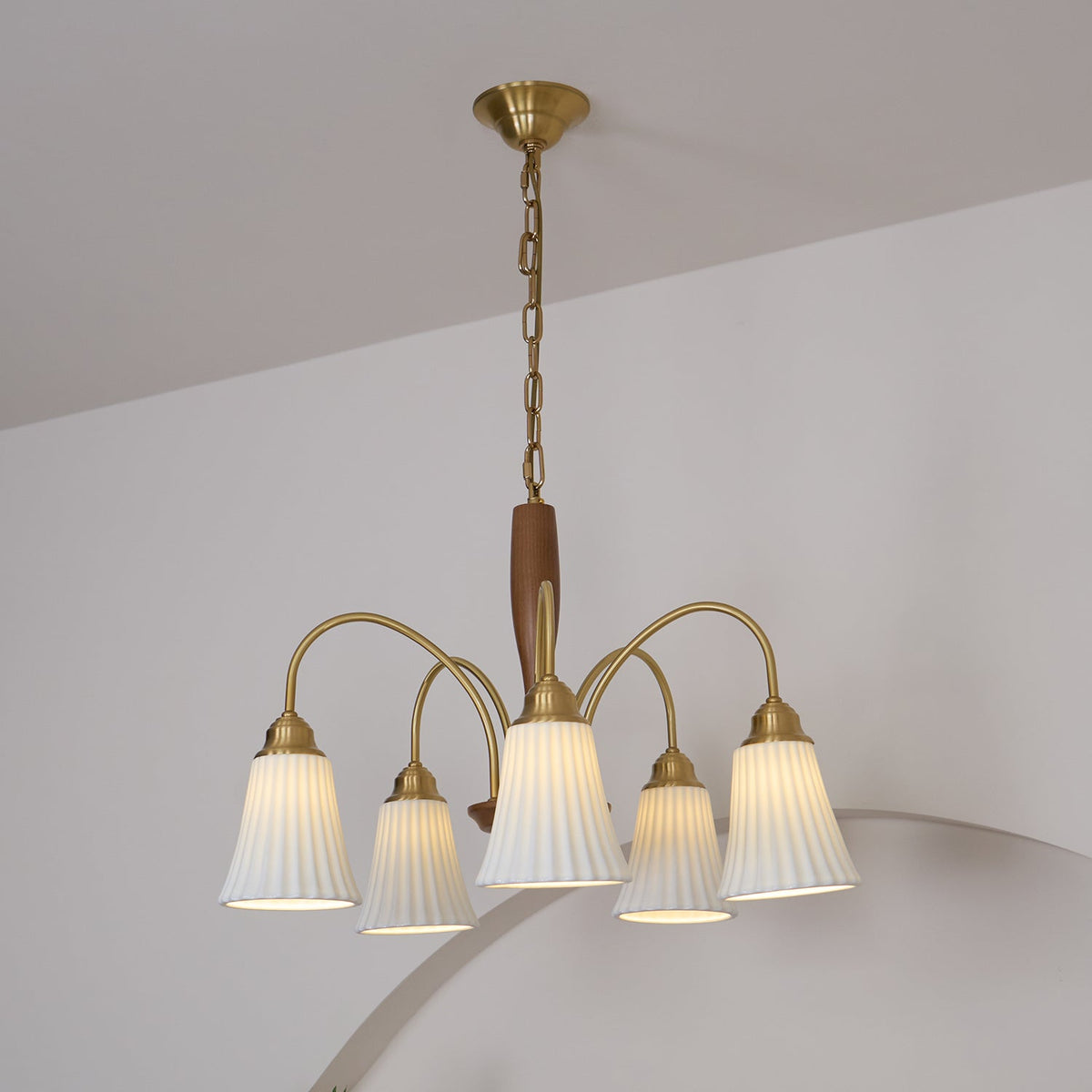 Conia candelabru