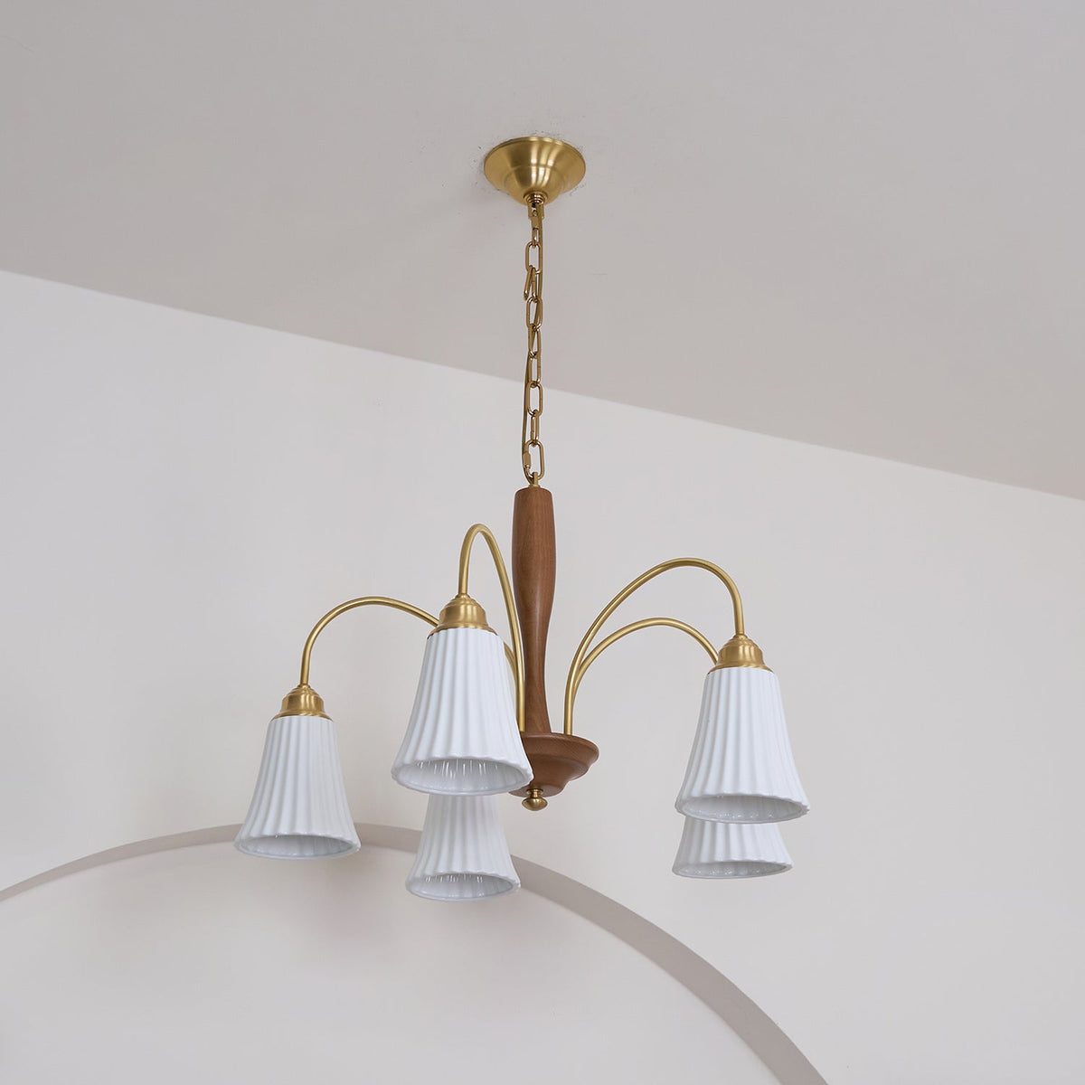 Conia candelabru
