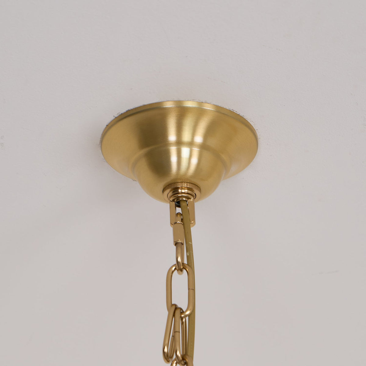 Conia candelabru