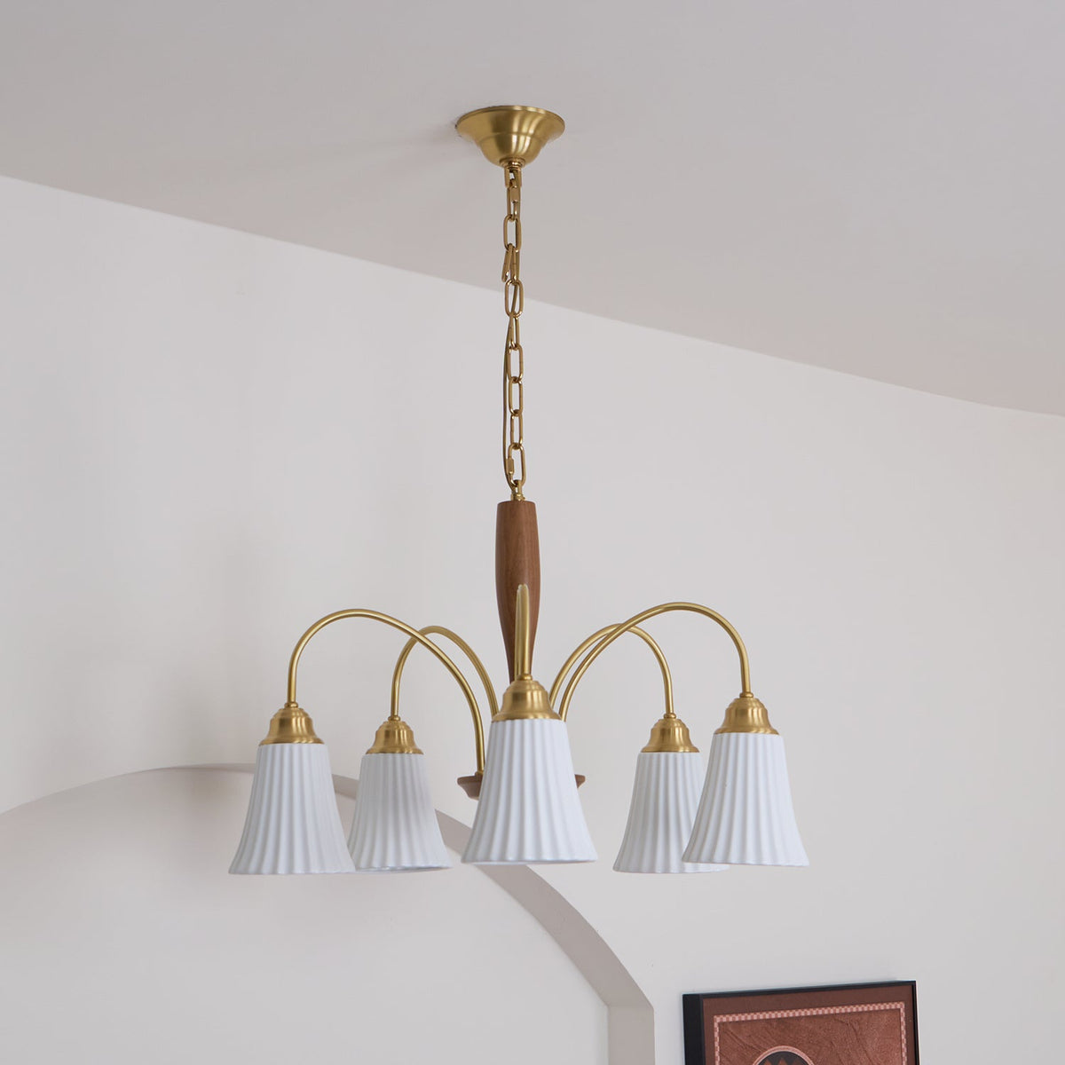 Conia candelabru