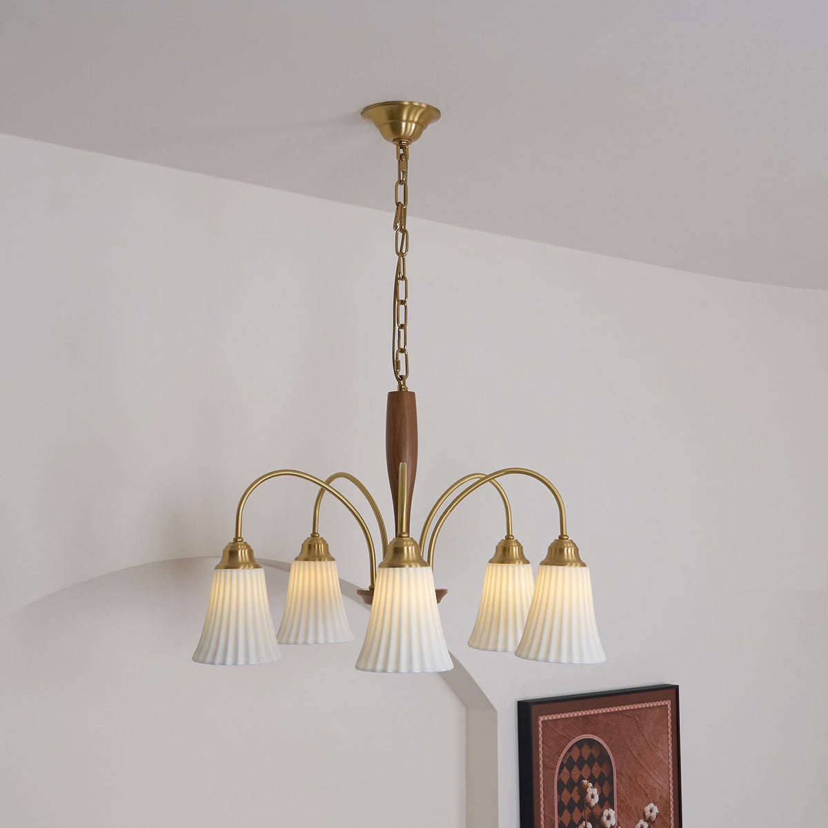 Conia candelabru